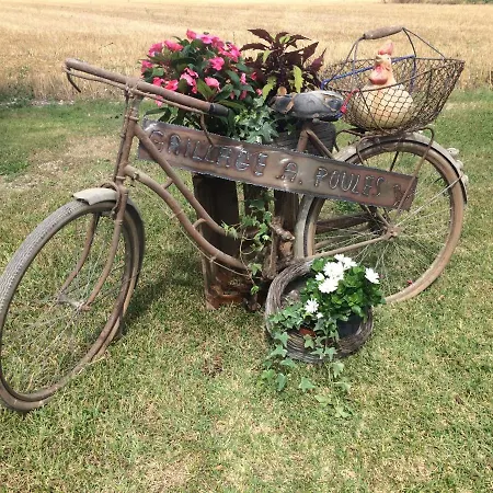 Le Grillage A Poules * 沙托贝尔纳尔