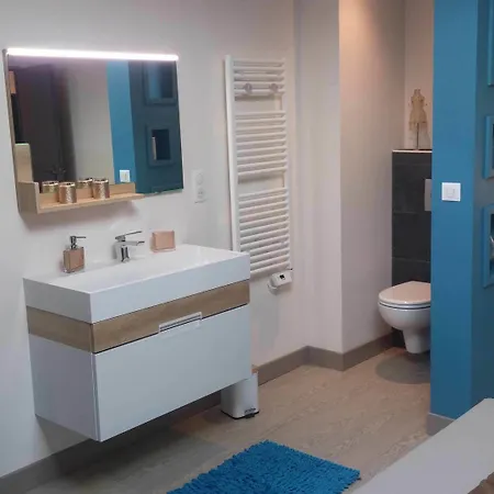 Le Grillage A Poules * 沙托贝尔纳尔