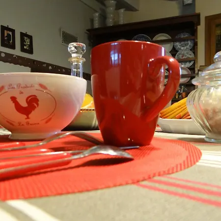 Le Grillage A Poules 住宿加早餐酒店 沙托贝尔纳尔