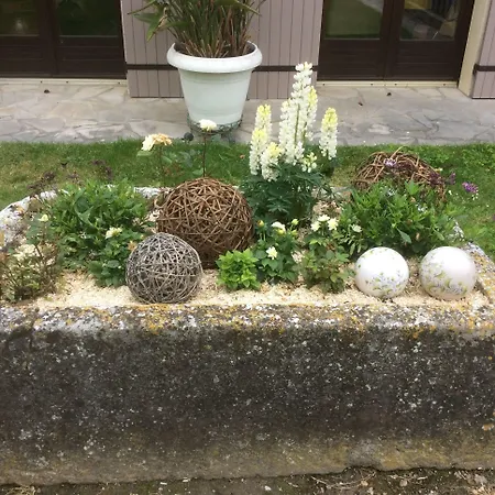 Le Grillage A Poules