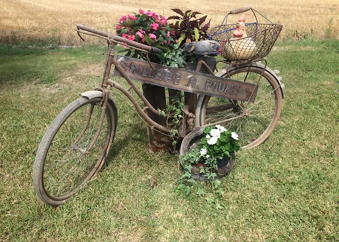 Le Grillage A Poules * Châteaubernard