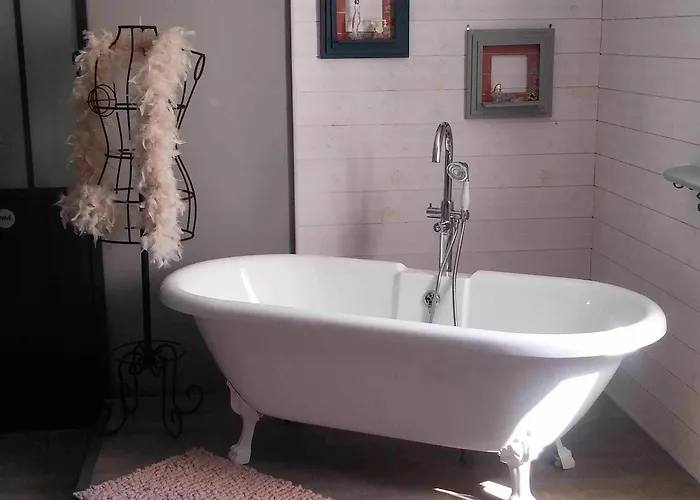 Le Grillage A Poules Châteaubernard