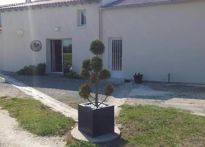 Le Grillage A Poules Couette-café