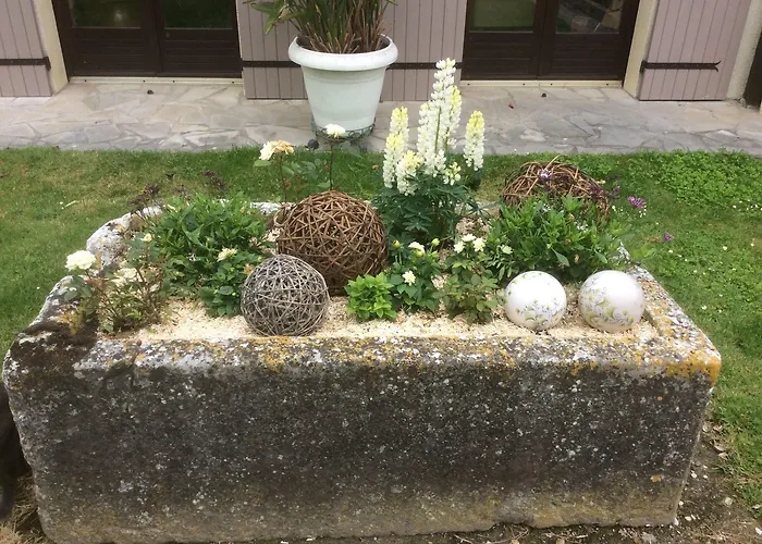 Le Grillage A Poules